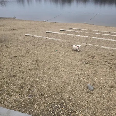 Kika Srebrno Jezero 아파트 Veliko Gradište