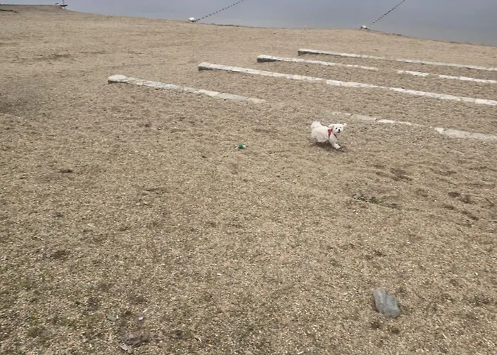 Kika Srebrno Jezero Апартаменты Велико-Градиште